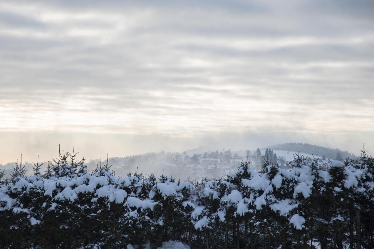 Naturtraum Winterberg Exteriör bild